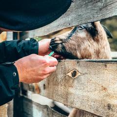 Туристический комплекс Столица мира, Тальменский район, Алтайский край