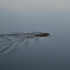 Туристический комплекс Столица мира, Тальменский район, Алтайский край