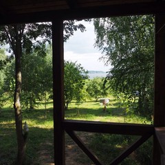 База отдыха Constanta, Кашинский район, Тверская область