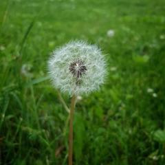 Туристический комплекс Столица мира, Тальменский район, Алтайский край