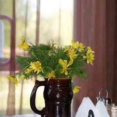 Туристический комплекс Столица мира, Тальменский район, Алтайский край