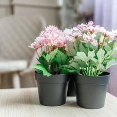 Хостел История, Кемерово, Кемеровская область