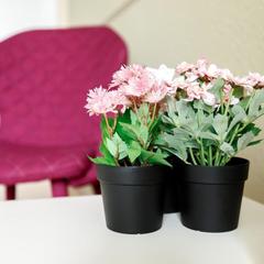 Хостел История, Кемерово, Кемеровская область