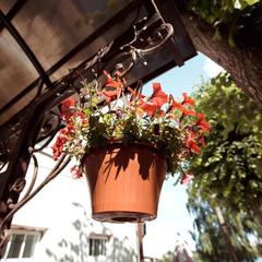 Отель Чайка, Кимры, Тверская область