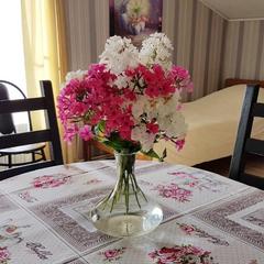 Гостиница В городе Кириллов, Кириллов, Вологодская область