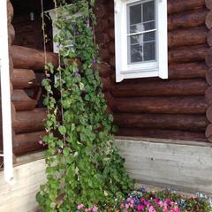  Загородный дом, Кириллов, Вологодская область