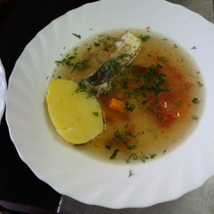 Турбаза Procosta, Кировский, Астраханская область