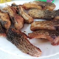 Турбаза Procosta, Кировский, Астраханская область