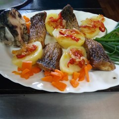 Турбаза Procosta, Кировский, Астраханская область