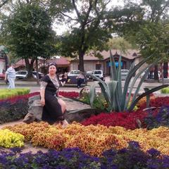 Гостевой дом Алекс, Кисловодск, Ставропольский край