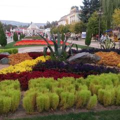 Гостевой дом Алекс, Кисловодск, Ставропольский край