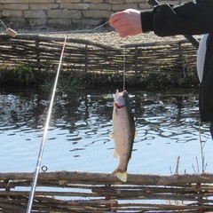 Рыболовная база Царская рыбалка, Ключи, Пермский край