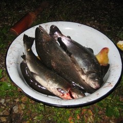 Рыболовная база Царская рыбалка, Ключи, Пермский край