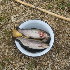 Рыболовная база Царская рыбалка, Ключи, Пермский край