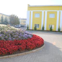 Гостиница Кольцо, Клинцы, Брянская область