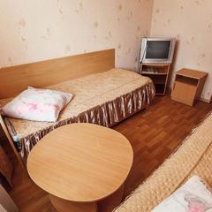 Отель Городок, Клинцы, Брянская область