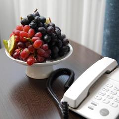 Гостевой дом Атриум, Ковров, Владимирская область