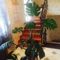 Отель Голд, Ковров, Владимирская область