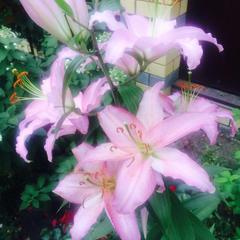 Отель Голд, Ковров, Владимирская область