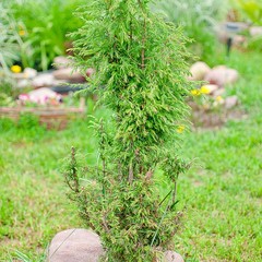 База отдыха Переханово, Ковров, Владимирская область