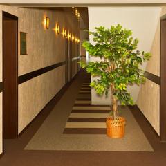 Гостиница Кольцо, Клинцы, Брянская область