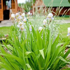 База отдыха Переханово, Ковров, Владимирская область