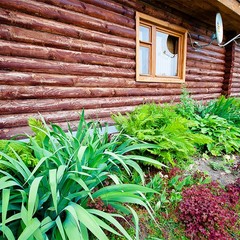 База отдыха Переханово, Ковров, Владимирская область