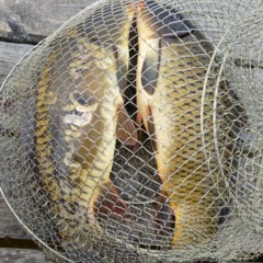 База отдыха Переханово, Ковров, Владимирская область