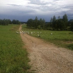 База отдыха Дом на Селигере, Ивановское, Тверская область
