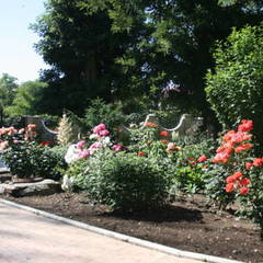 Отель Орхидея, Коктебель, Крым