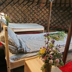 База отдыха Баскак, Коломна, Московская область