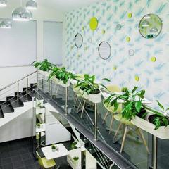 Гостиница Аэроклуб Алпина Авиа, Коломна, Московская область