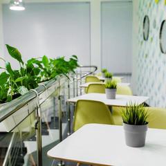 Гостиница Аэроклуб Алпина Авиа, Коломна, Московская область