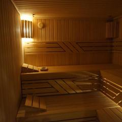 Гостиница Аэроклуб Алпина Авиа, Коломна, Московская область