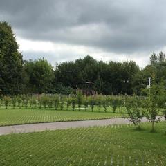 Кемпинг  У Кремля, Коломна, Московская область