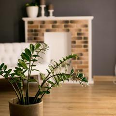 Отель Исторический особняк 1825, Коломна, Московская область