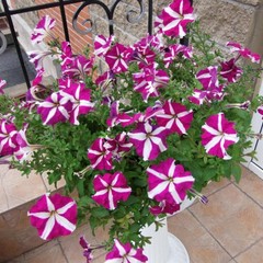 Отель Берег, Колпино, Ленинградская область