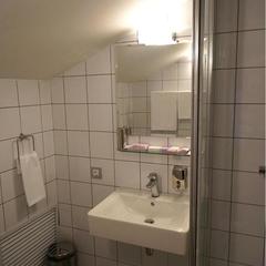 Гостиница Аэроклуб Алпина Авиа, Коломна, Московская область