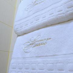 Гостевой дом Альянс, Кольчугино, Владимирская область