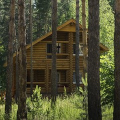 База отдыха Сосновый бор, Комаровка, Пензенская область