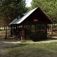 База отдыха Сосновый бор, Комаровка, Пензенская область