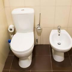 Гостиница Forest Inn, Королёв, Московская область