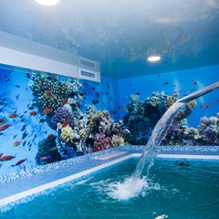 Отель Премьер, Кострома, Костромская область