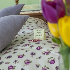 Гостиница Снегурочка, Кострома, Костромская область