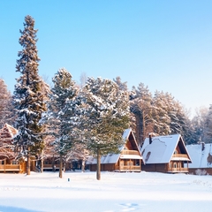 Парк-отель Берендеевка, Кострома, Костромская область