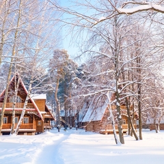 Парк-отель Берендеевка, Кострома, Костромская область
