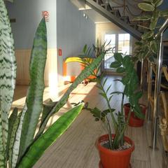 Отель Островский причал, Кострома, Костромская область