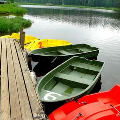 Парк-отель Берендеевка, Кострома, Костромская область