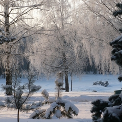 Парк-отель Берендеевка, Кострома, Костромская область