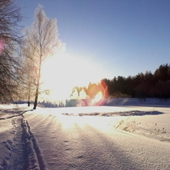 Парк-отель Берендеевка, Кострома, Костромская область